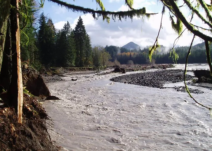 New Tiny Home Steps Away From Mt. Rainier