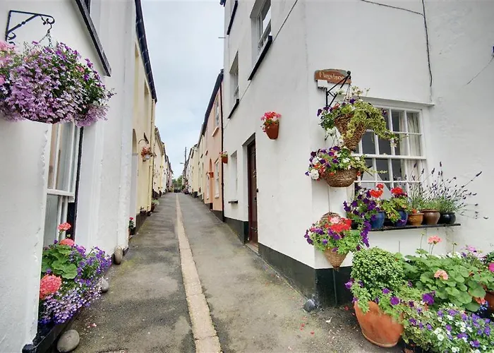3 Bed In Appledore Oc-Cockle