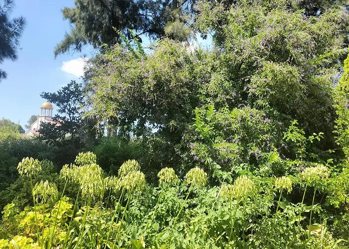Ador Lodges - Kruger Road