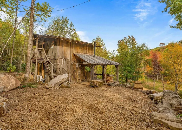 Squatter'S Cabin