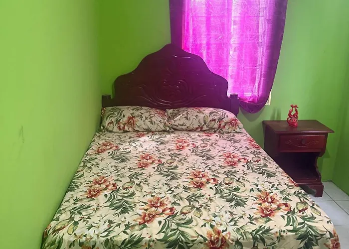 Quiet Guest Room In Granville Falmouth, Jamaica
