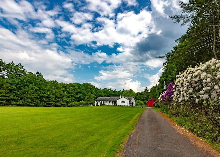 Catskill Gem! Four Bedroom On 20 Quiet Acres