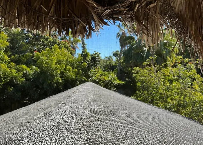 Casa Nido