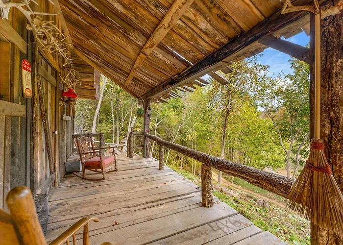 Squatter'S Cabin
