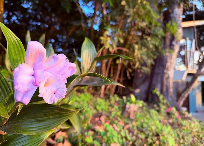 Monteverde Beaumont