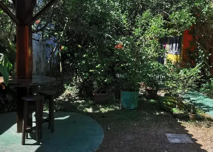 Verde & Sal 13