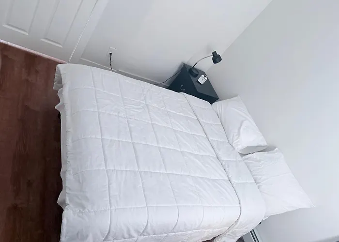 Cozy Single Room