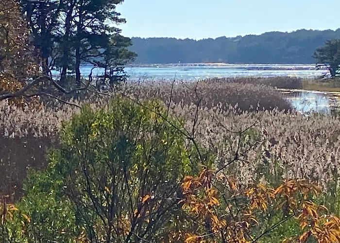 Wellfleet Vacation Townhome With Direct Marsh Views & Spa