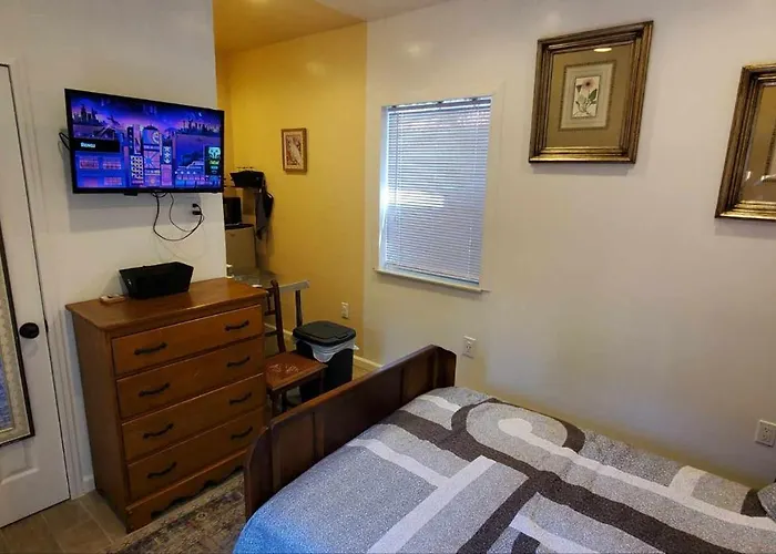 Cosy New Studio With Yard Space In Miami