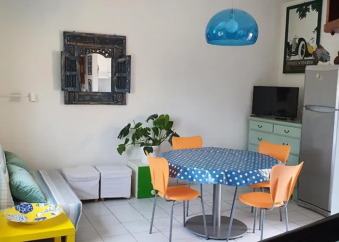 House With Garden In Marina Di Pisa