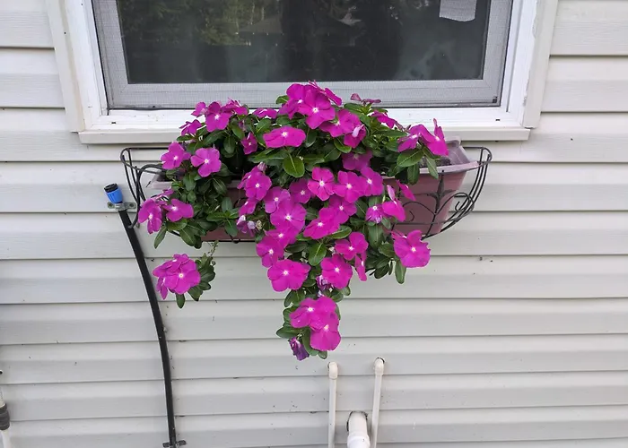 Cottage & Garden