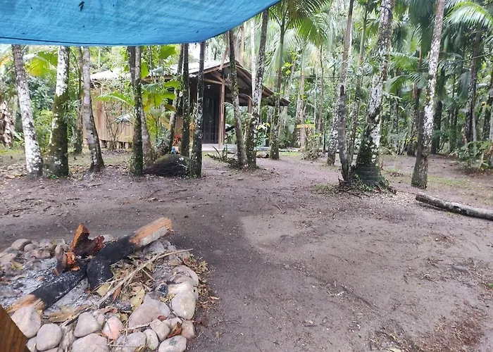 Chalé Saíra - casa simples no meio da Mata Atlântica!