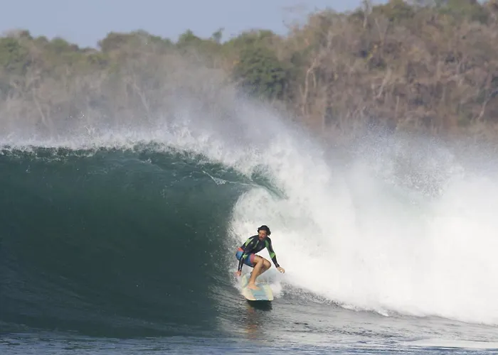 Santa Catalina Surf Studios- Ocean Adventures