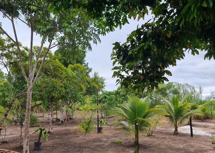 Casa do campo Flor de pitaya