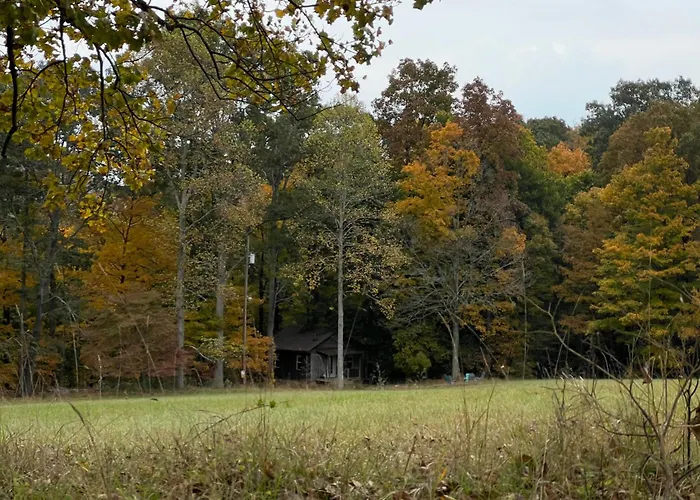 Salt Creek Cabin
