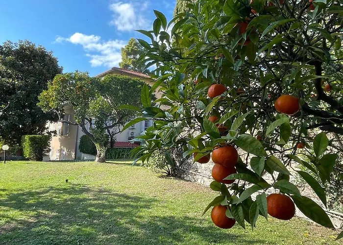 Casa Alice - Tranquilla Casa Con Giardino
