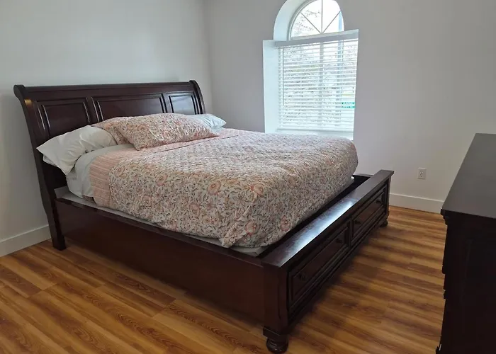 New House & Furniture, Calm Neighborhood