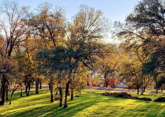 Cozy Lake View 4Bd 2,5Br Retreat In 5 Acres, Hot Tub And More