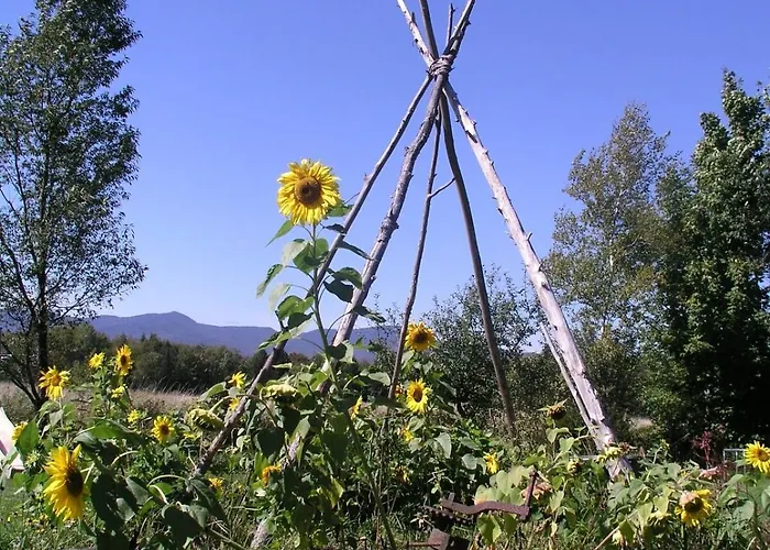 Meadow House Backcountry Residency