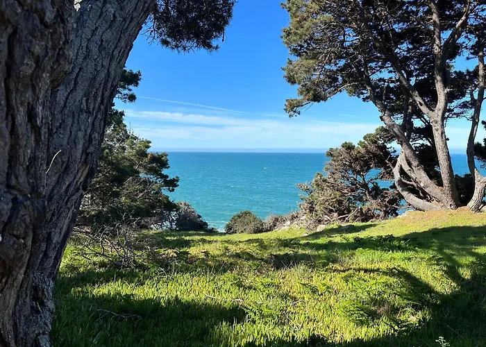Ocean Bluff Serenity