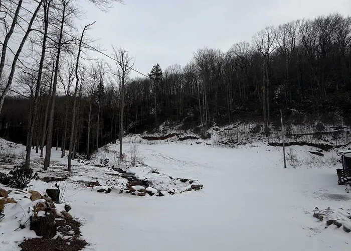Mountain Cabin & Creek-Front Nature Retreat Nc