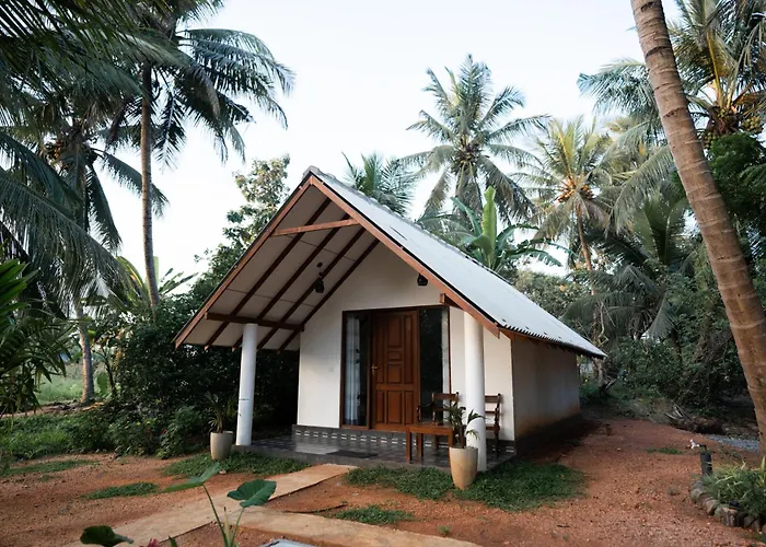 Middle Of The Village Sigiriya