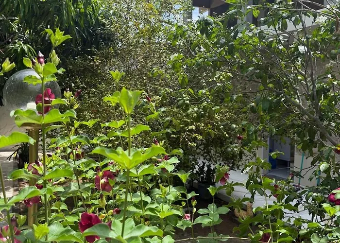Pousada 48 Graus - Caldas do Jorro BA