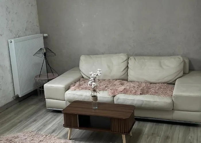 Fully Equipped Art Apartment In Thionville