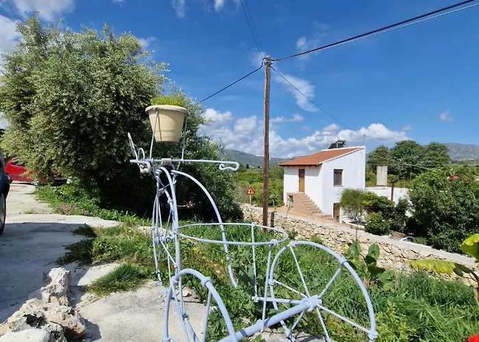 Stefanos Garden3