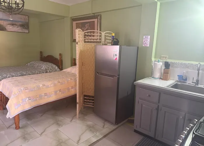 Boyceguest Apartment #1
