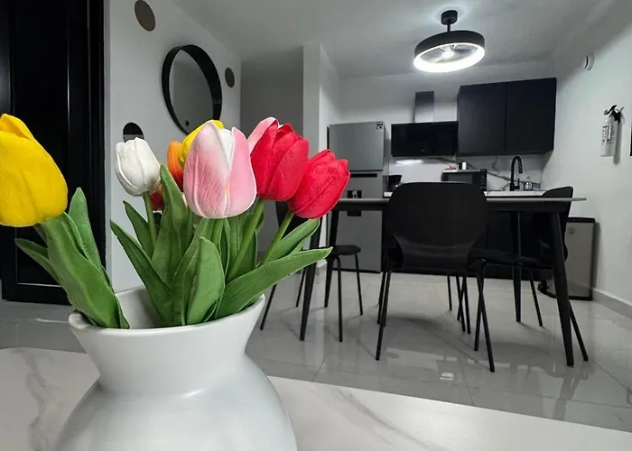 Brand New Luxe Apartment 1