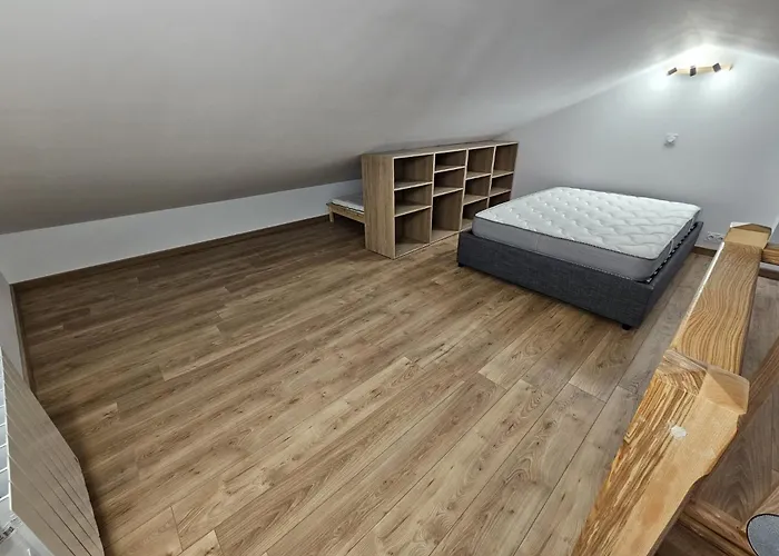 Grand Appartement En Centre-Ville