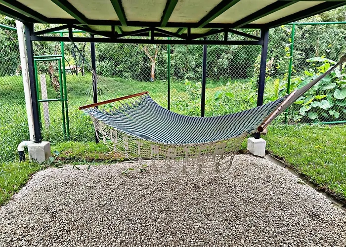 The Chicken House