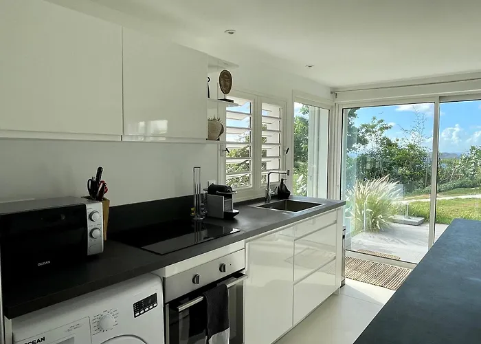 Appartement Vue Mer A St-Jean Avec Jardin Prive
