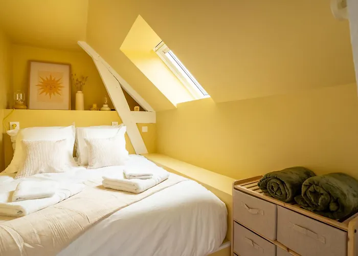 Studio Cosy Sous Les Toits - Centre Ville