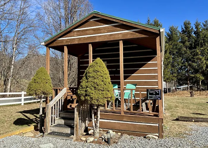 Maggie Valley Cabin Rentals
