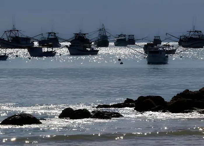 Curta Praia De Armacao - Casa Coqueiro