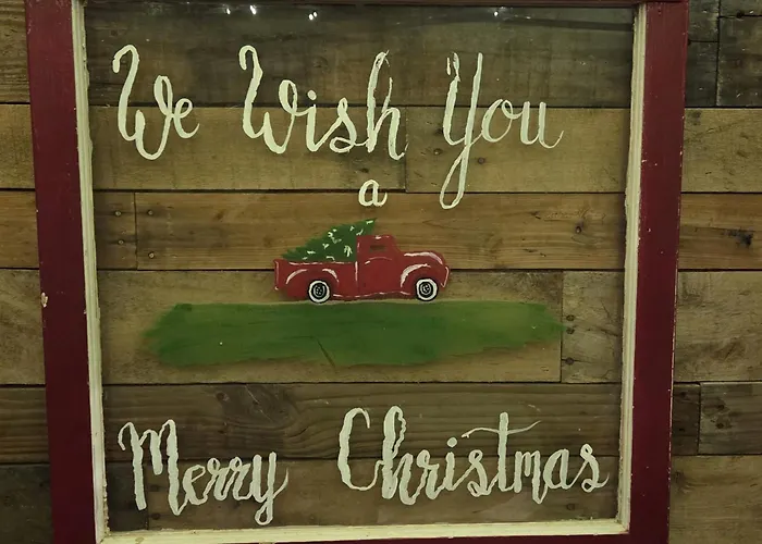 Rural Life On A Real Christmas Tree Farm! Hallmark Experience!