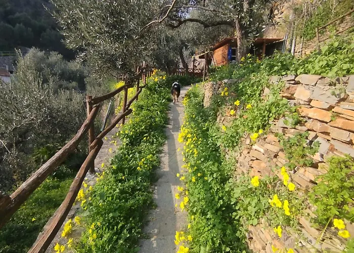Casa Ninin
