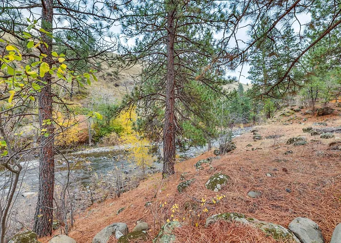 Cabin On Little Salmon River ~ 10 Mi To Riggins!