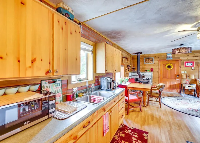 Cabin On Little Salmon River ~ 10 Mi To Riggins!