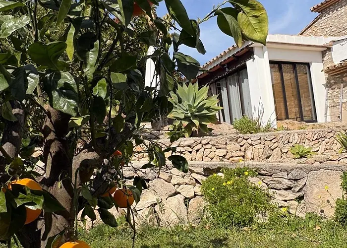 Rustico Appartment 'Olta' In Finca, See-And Garden Side