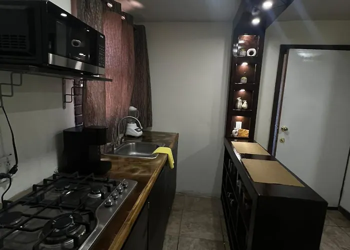 Chocolate Condo