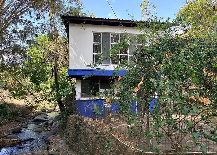 Rainforest Cabin In Escazu