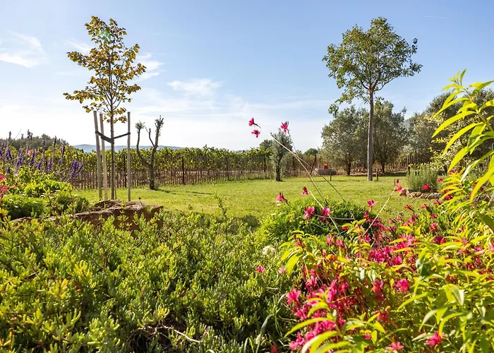 La Grange Du Vigneron 8 Pers