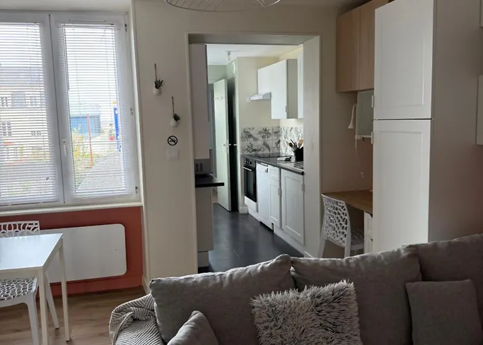 Appartement Lumineux Design 2 Chambres Centre Et Cite De La Mer