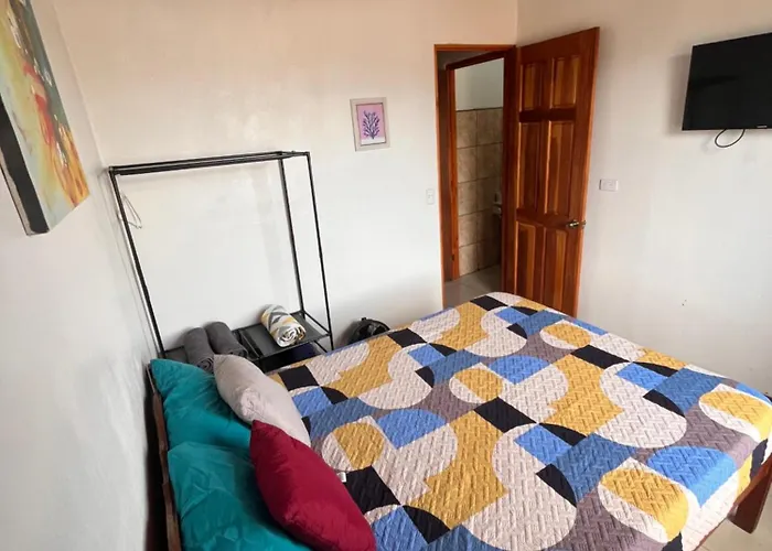 Apartamentos El Casco