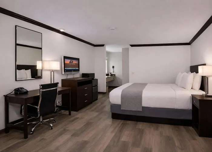 Discovery Inn