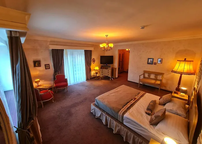 Pensiunea Vlahia Inn