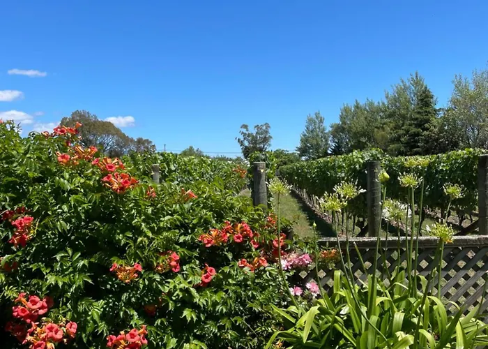 Villa In The Vines
